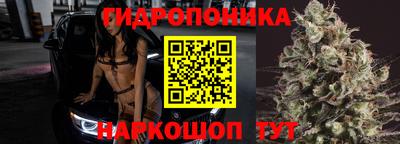 бошки Ставрополь