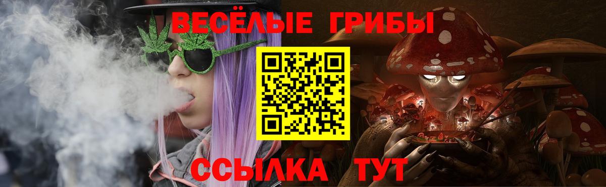 Малоярославец  цены   Псилоцибиновые грибы Psilocybine cubensis  Вход с VPN  Псилоцибиновые грибы Psilocybine cubensis 